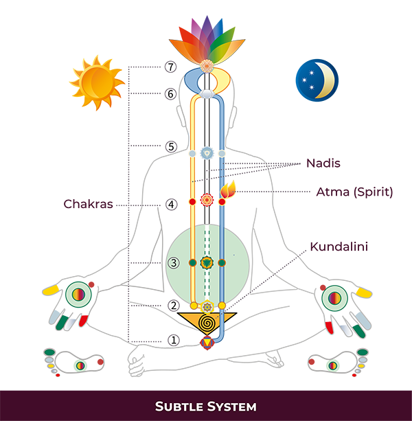 Subtle system diagram